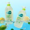 Изображение Шампунь для кожи головы с ароматом бергамота Derma:B Fresh Scalp Clear Shampoo Bergamot Green, 1000 мл